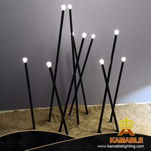 Simple Line Black Metal Acrylic Ball Outdoor Floor Garden Lamp (KIH-91F)