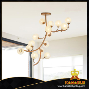 Modern Metal Pendant Lamp for Home Decoration (KAP18-013)