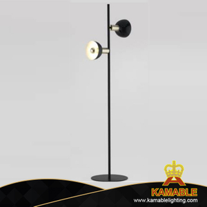 Contemporary Home Metal Floor Lamp (KAF01)