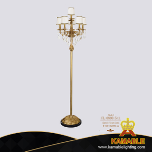 Decorative Antique Brass Floor Lamp for Hotel Living Room (FL-0880-5+1)